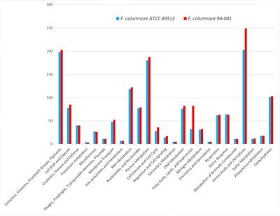 Comparative Analysis of the <mark class="highlighted">Flavobacterium columnare</mark> Genomovar I and II Genomes